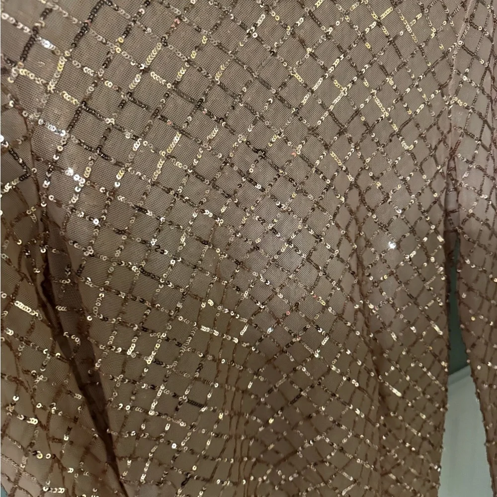 Pilcro by Anthrpologie Shimmering Sequin Blouse - Brown Medium - Picture 4 of 6